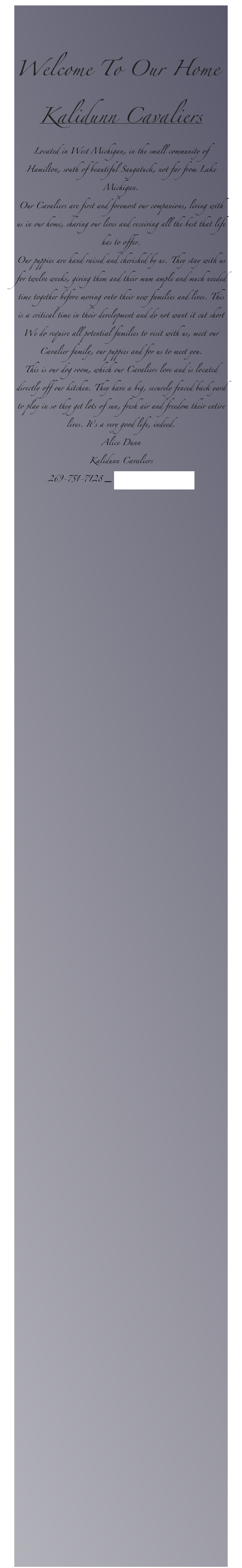 

Welcome To Our Home
Kalidunn Cavaliers
Located in West Michigan, in the small community of Hamilton, south of beautiful Saugatuck, not far from Lake Michigan. 
Our Cavaliers are first and foremost our companions, living with us in our home, sharing our lives and receiving all the best that life has to offer. 
Our puppies are hand raised and cherished by us. They stay with us for twelve weeks, giving them and their mum ample and much needed time together before moving onto their new families and lives. This is a critical time in their development and do not want it cut short
We do require all potential families to visit with us, meet our Cavalier family, our puppies and for us to meet you. 
This is our dog room, which our Cavaliers love and is located directly off our kitchen. They have a big, securely fenced back yard to play in so they get lots of sun, fresh air and freedom their entire lives. It’s a very good life, indeed.
Alice Dunn
Kalidunn Cavaliers
269-751-7128 _ dunnalicee99@gmail.com